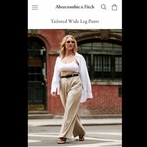 Abercrombie Tailored Wide Leg Pants Khaki Size Small